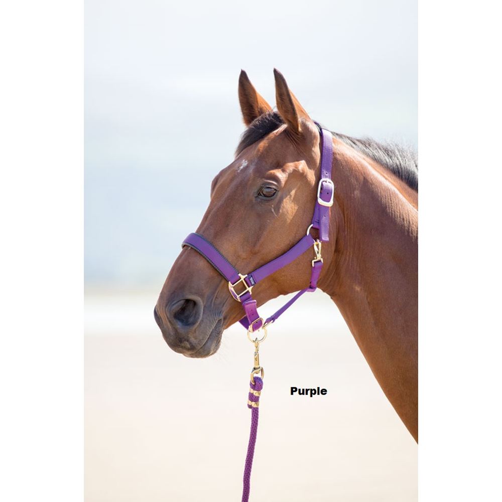 Shires Topaz Nylon Headcollar