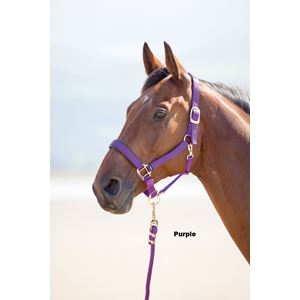 Shires Topaz Nylon Headcollar
