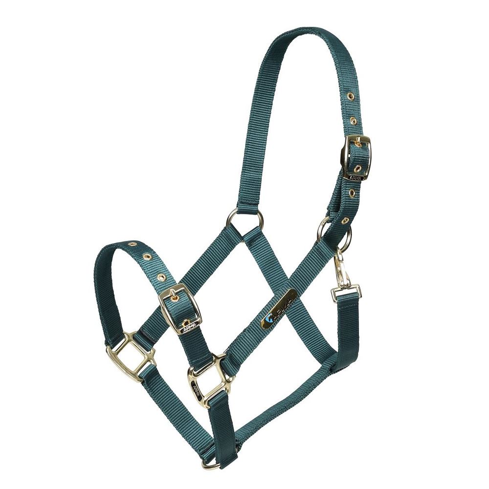 Shires ARMA Adjustable Headcollar (Green)