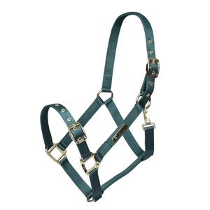 Shires ARMA Adjustable Headcollar (Green)