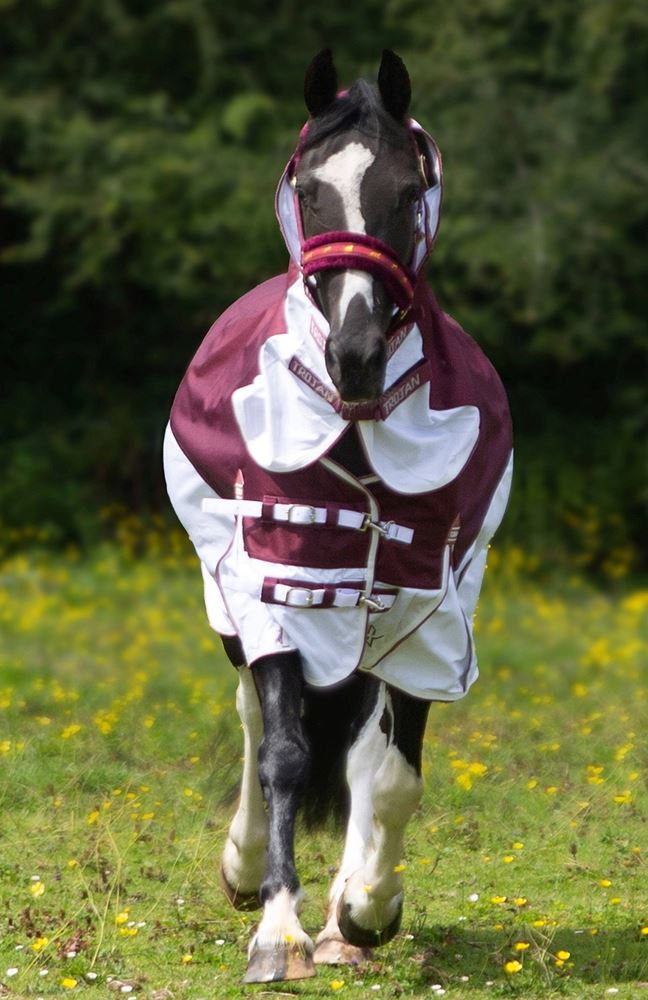 Gallop Trojan Xtra Fly Turnout Combo (Burgundy/Gold)
