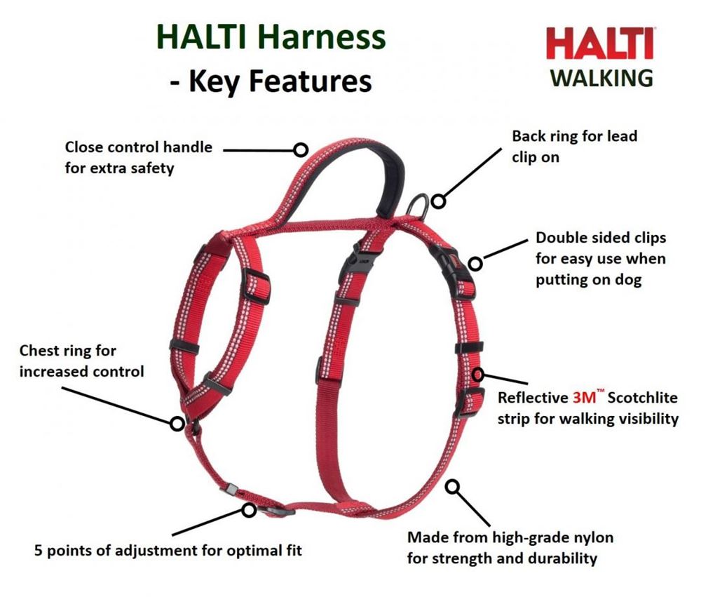 HALTI Walking Harness - Extra Small