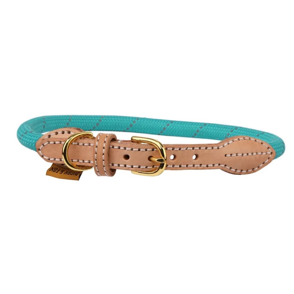 Shires Digby & Fox Reflective Dog Collar (Teal)