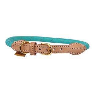Shires Digby & Fox Reflective Dog Collar (Teal)