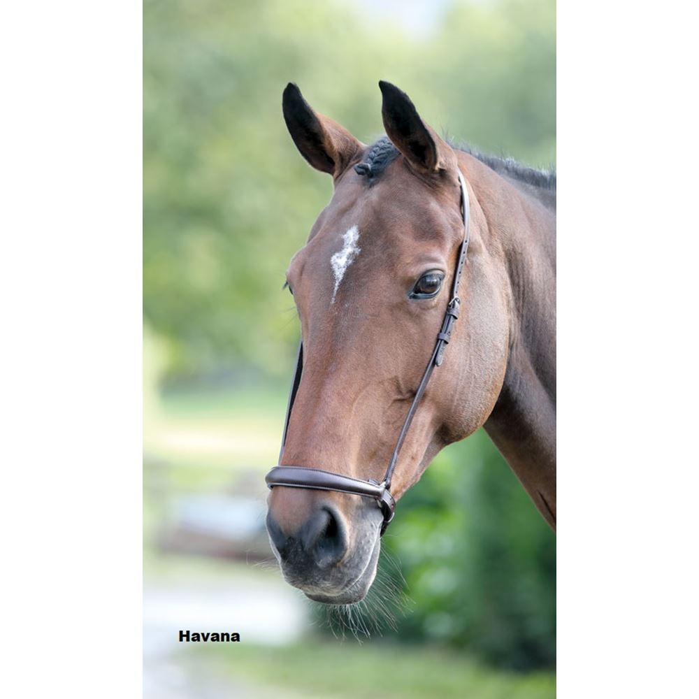 Shires Blenheim Drop Noseband