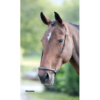 Shires Velociti GARA (Blenheim) Drop Noseband