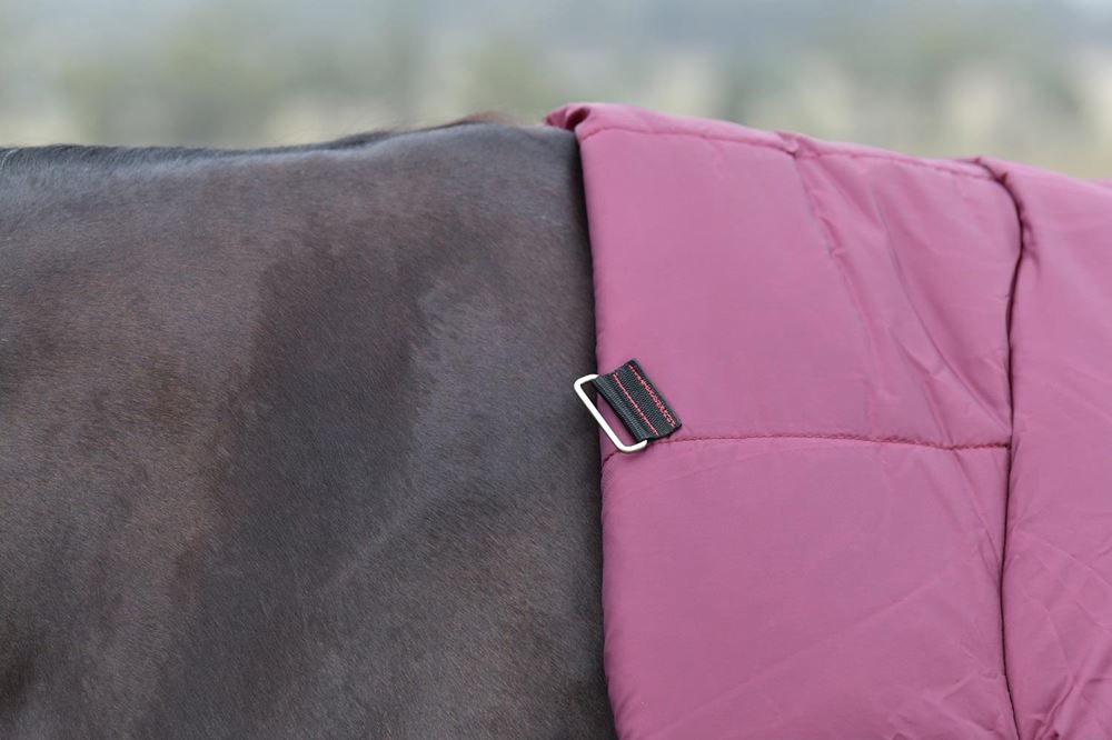 Weatherbeeta Comfitec Essential Turnout Combo - 50g (Burgundy/Navy)