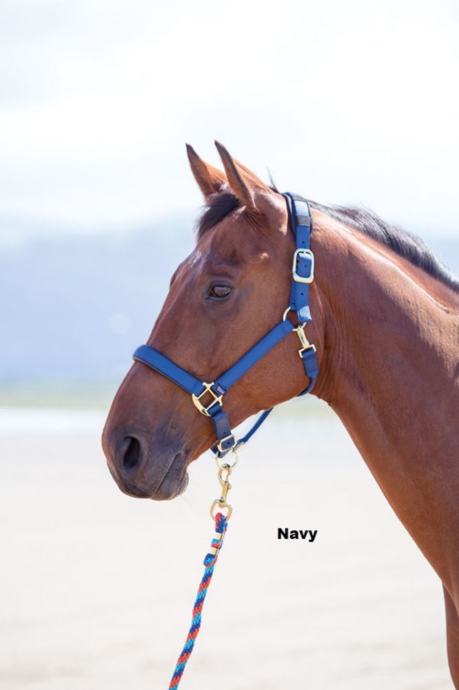 Shires Topaz Nylon Headcollar