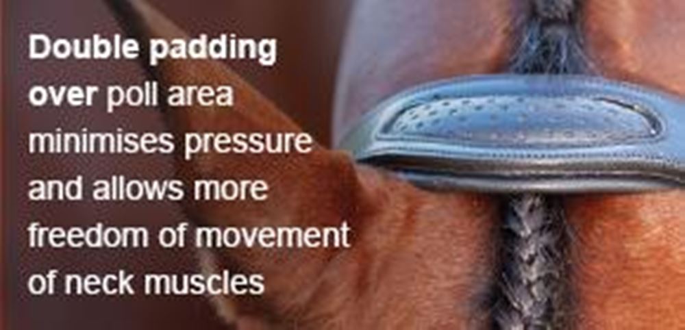 Collegiate Comfitec Crystal Bridle