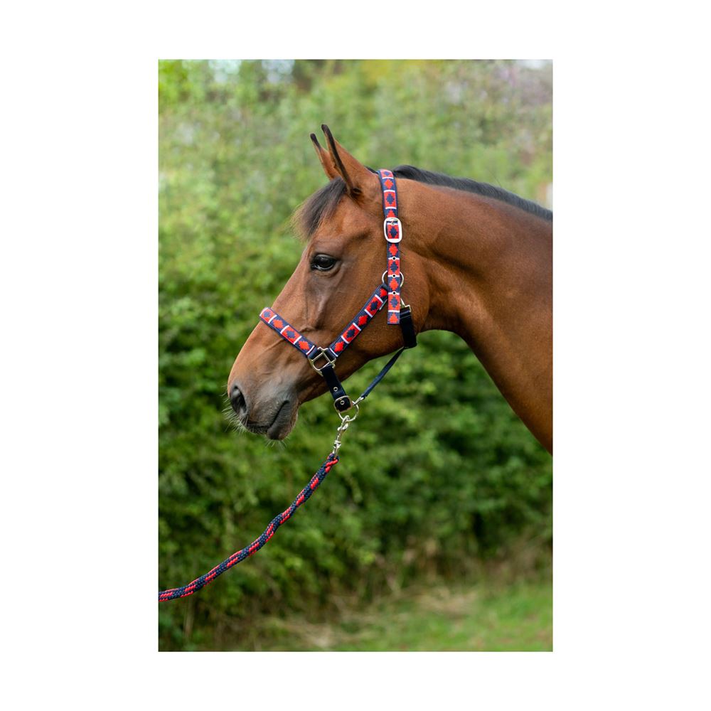 Hy Equestrian Woven Polo Head Collar and Lead Rope (Navy/Red)