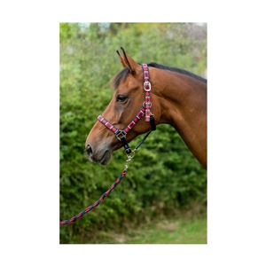 Hy Equestrian Woven Polo Head Collar and Lead Rope (Navy/Red)