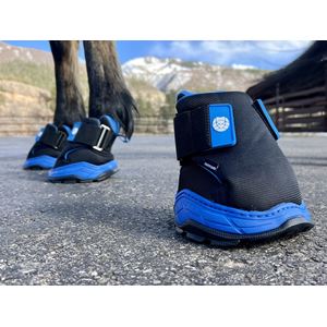 Easyboot RX Hoof Therapy Boot (Sizes 00-3)