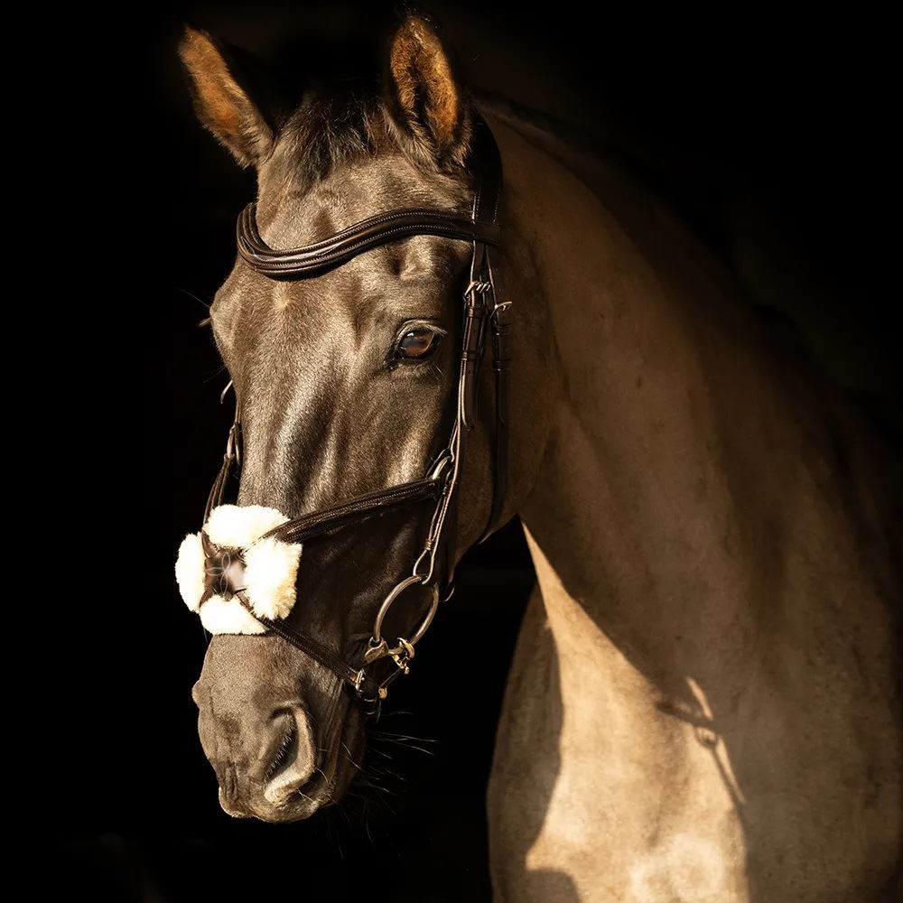 ProPresicce Pelle Grackle Leather Bridle by Hy Equestrian (Brown with Brass Hardware)
