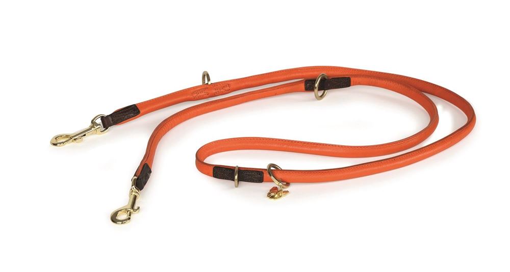Shires Digby & Fox Rolled Leather Dog Training Lead