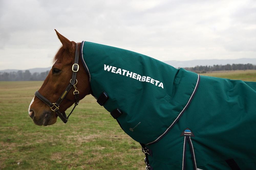 Weatherbeeta Comfitec Plus Dynamic Neck Cover - 0g (Forest Green/ Navy)