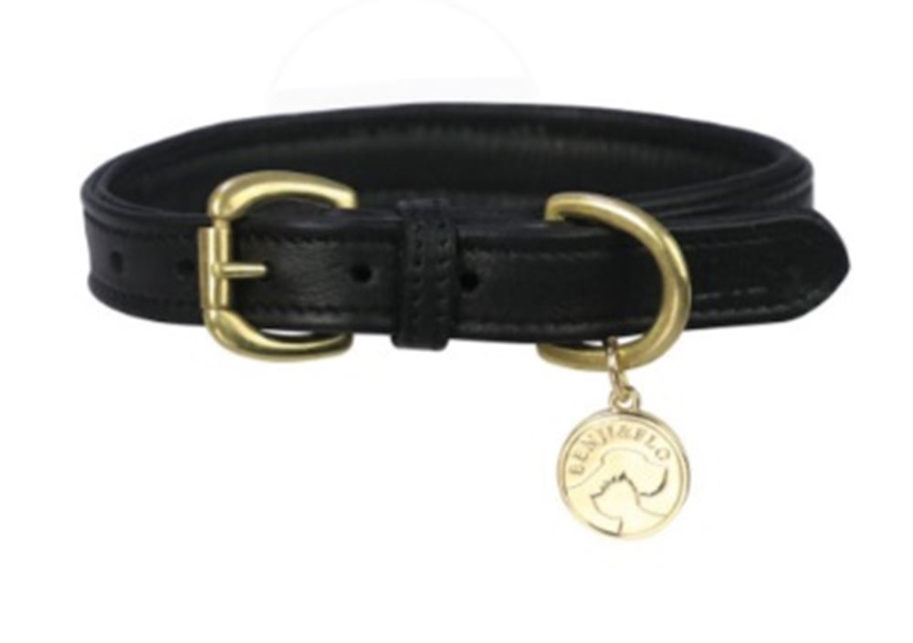 Benji & Flo Deluxe Padded Leather Dog Collar (Black/Brass)