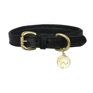 Benji & Flo Deluxe Padded Leather Dog Collar (Black/Brass)