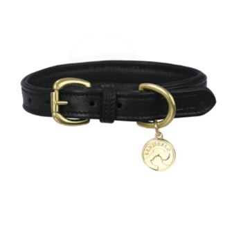 Benji & Flo Deluxe Padded Leather Dog Collar (Black/Brass)