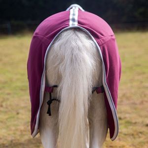 Gallop Ponie Burgundy Jersey Cooler Rug