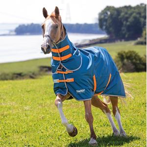 Shires Tempest Original Lite Turnout Rug & Neck Set (Teal)