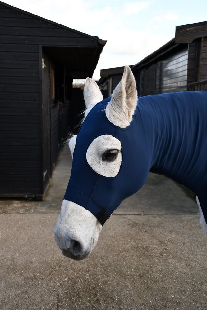 Rhinegold Lycra Hood With Face (Navy)