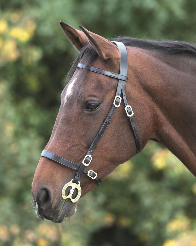 Shires Blenheim Plain Inhand Bridle