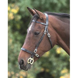 Shires Blenheim Plain Inhand Bridle