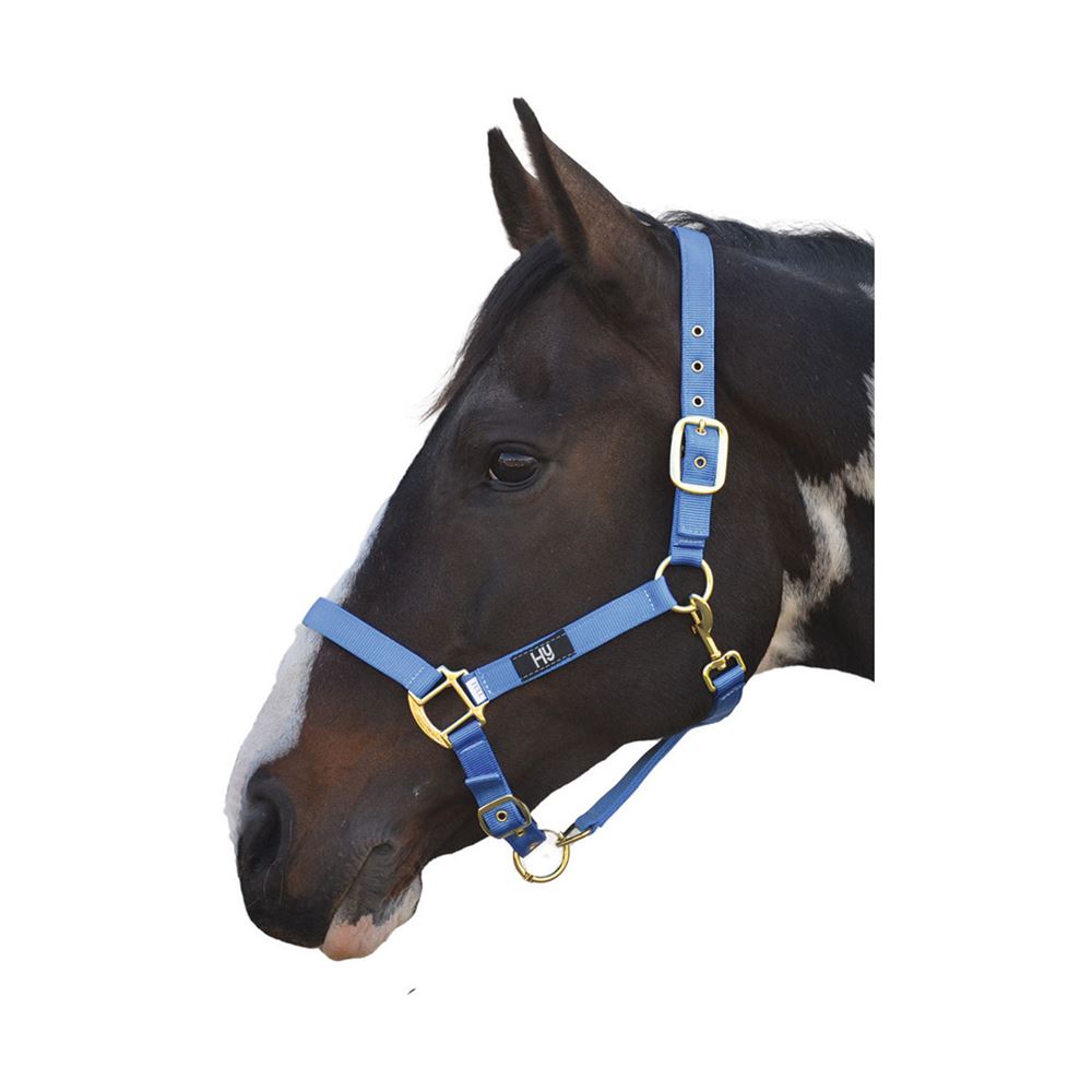 Hy Head Collar  