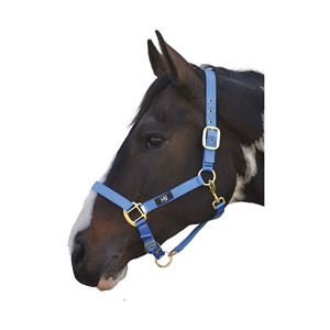 Hy Head Collar  