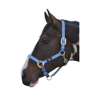 Hy Equestrian Head Collar