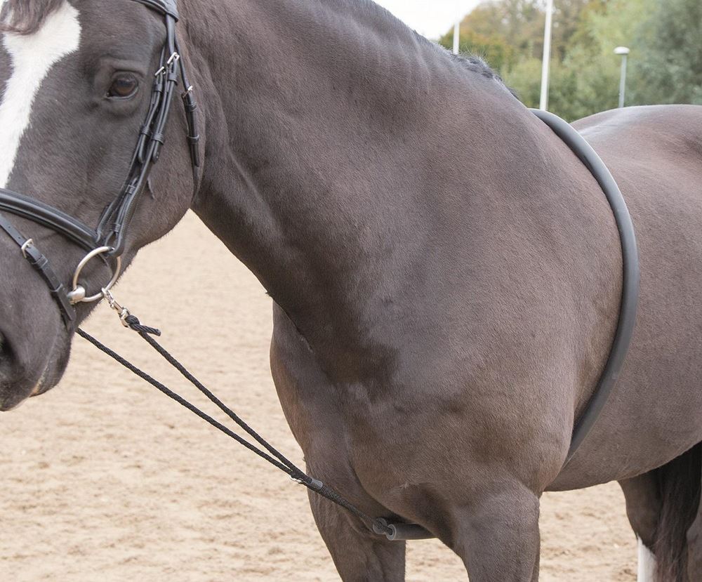 Shires Soft Lunge Aid