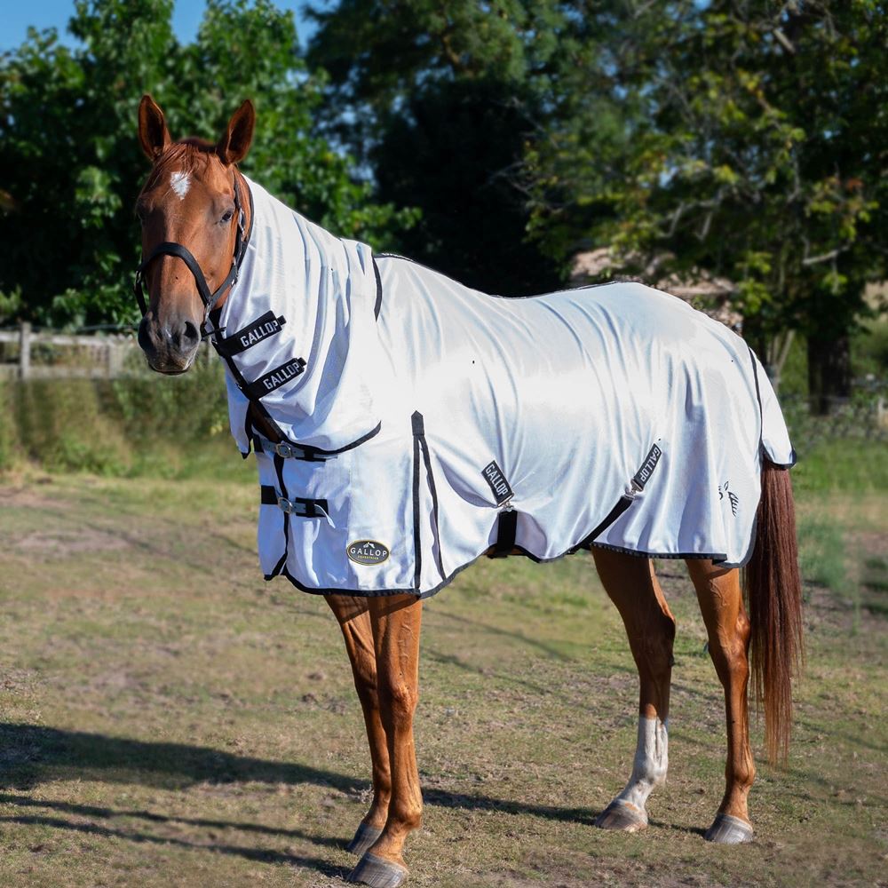 Gallop Classic Fly Rug Combo