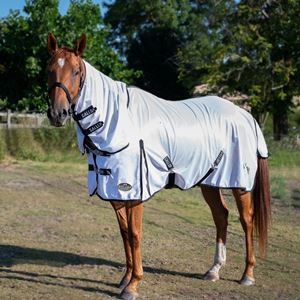 Gallop Classic Fly Rug Combo