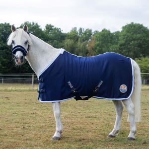 Gallop Ponie Navy Jersey Cooler Rug