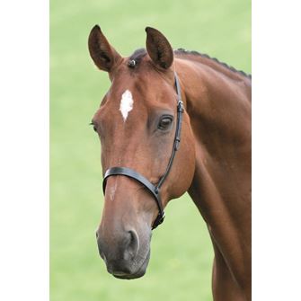 Shires Velociti GARA (Blenheim) Cavesson Noseband