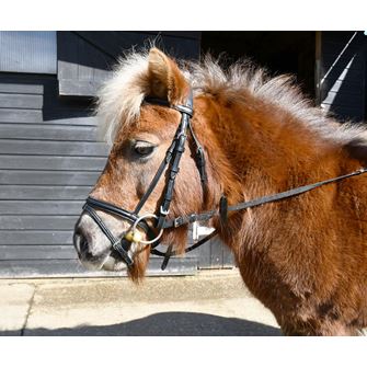 Windsor Small Pony Flash Bridle