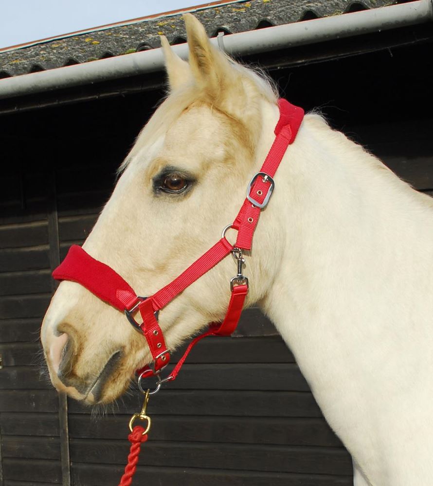 Rhinegold Comfort Headcollar and Rope Set (Red)