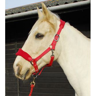 Rhinegold Comfort Headcollar and Rope Set (Red)