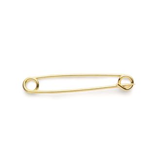 Shires Aubrion Plain Gold Plated Stock Pin