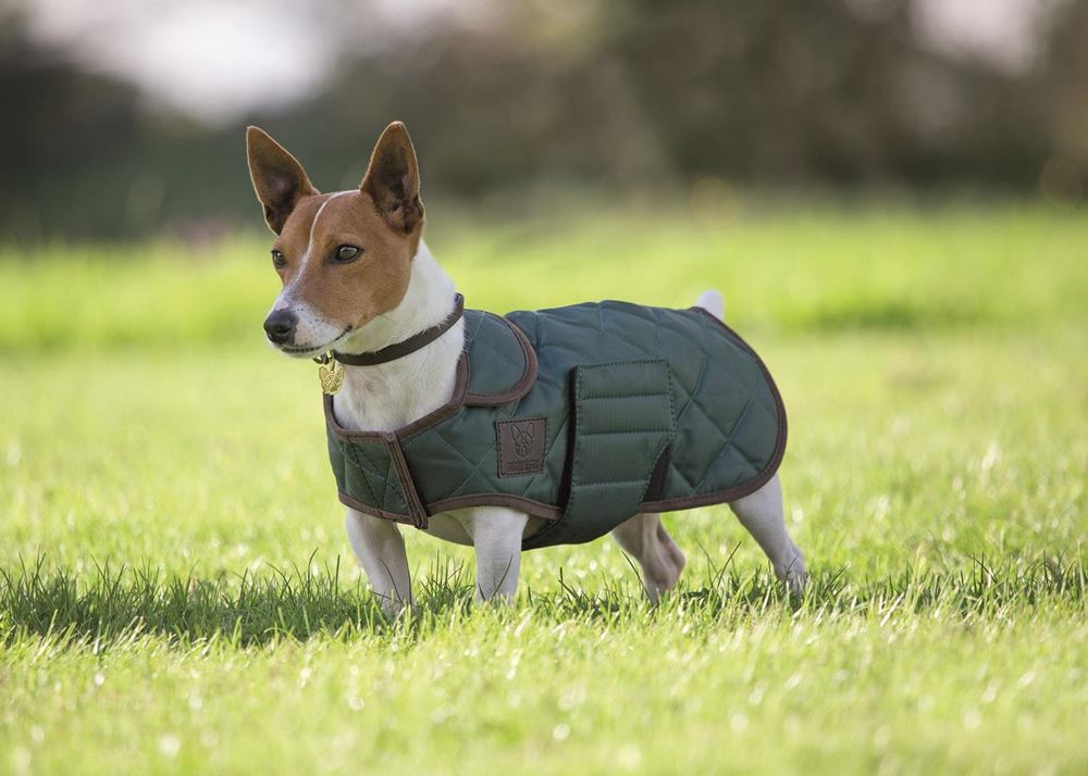 Shires Quilted Dog Coat XXXS-S