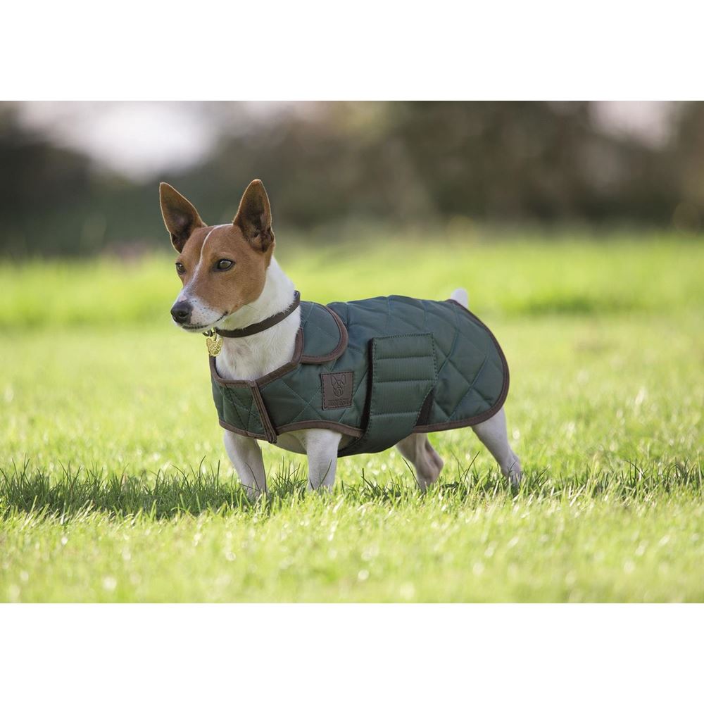 Shires Quilted Dog Coat XXXS-S