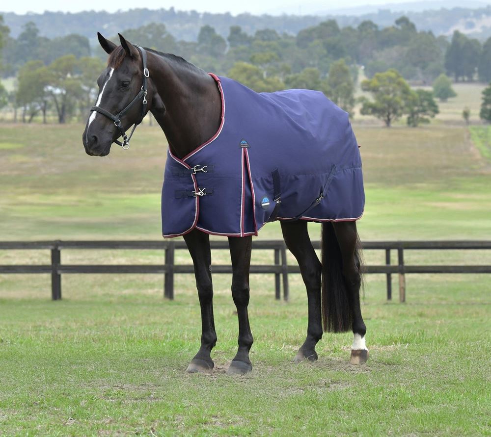 Weatherbeeta Comfitec Essential Turnout Standard Neck - 220g (Navy/Burgundy)
