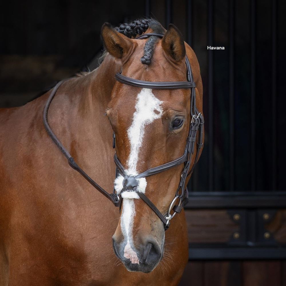 Shires Velociti RAPIDA Grackle Bridle
