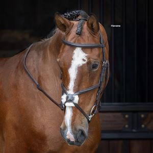Shires Velociti RAPIDA Grackle Bridle