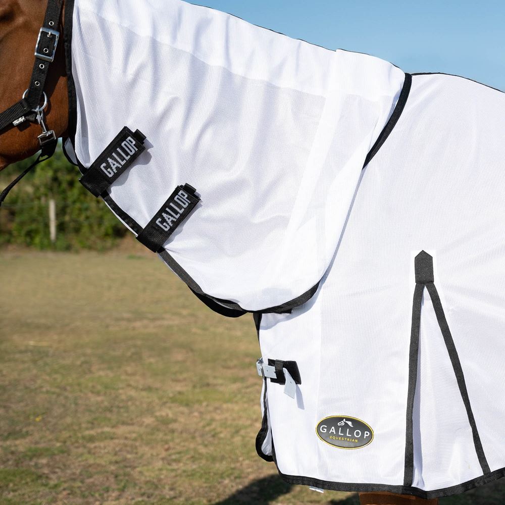 Gallop Classic Fly Rug Combo
