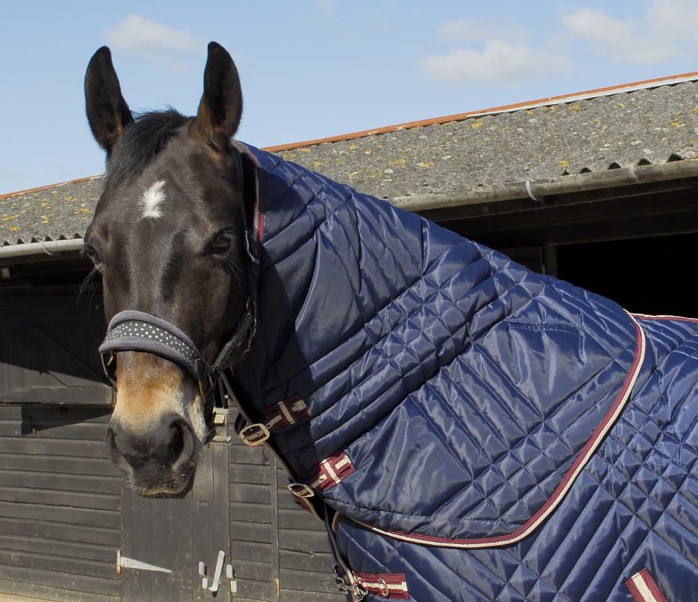 Rhinegold Dallas Chevron Neck Cover (Navy)