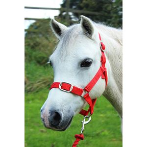 Gallop Headcollar & Leadrope Set (Red)