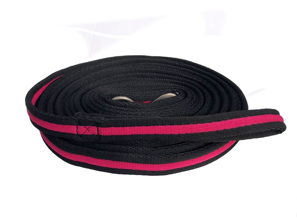 Rhinegold Carnival Lunge Rein