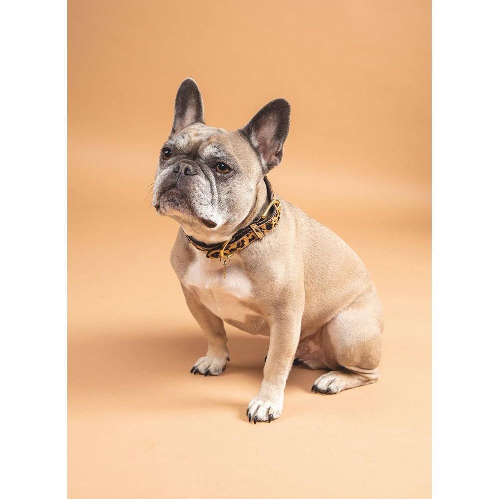 Shires Digby & Fox Cow Hair Dog Collar (XXXS)