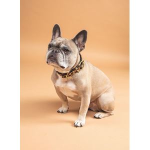 Shires Digby & Fox Cow Hair Dog Collar (XXXS)